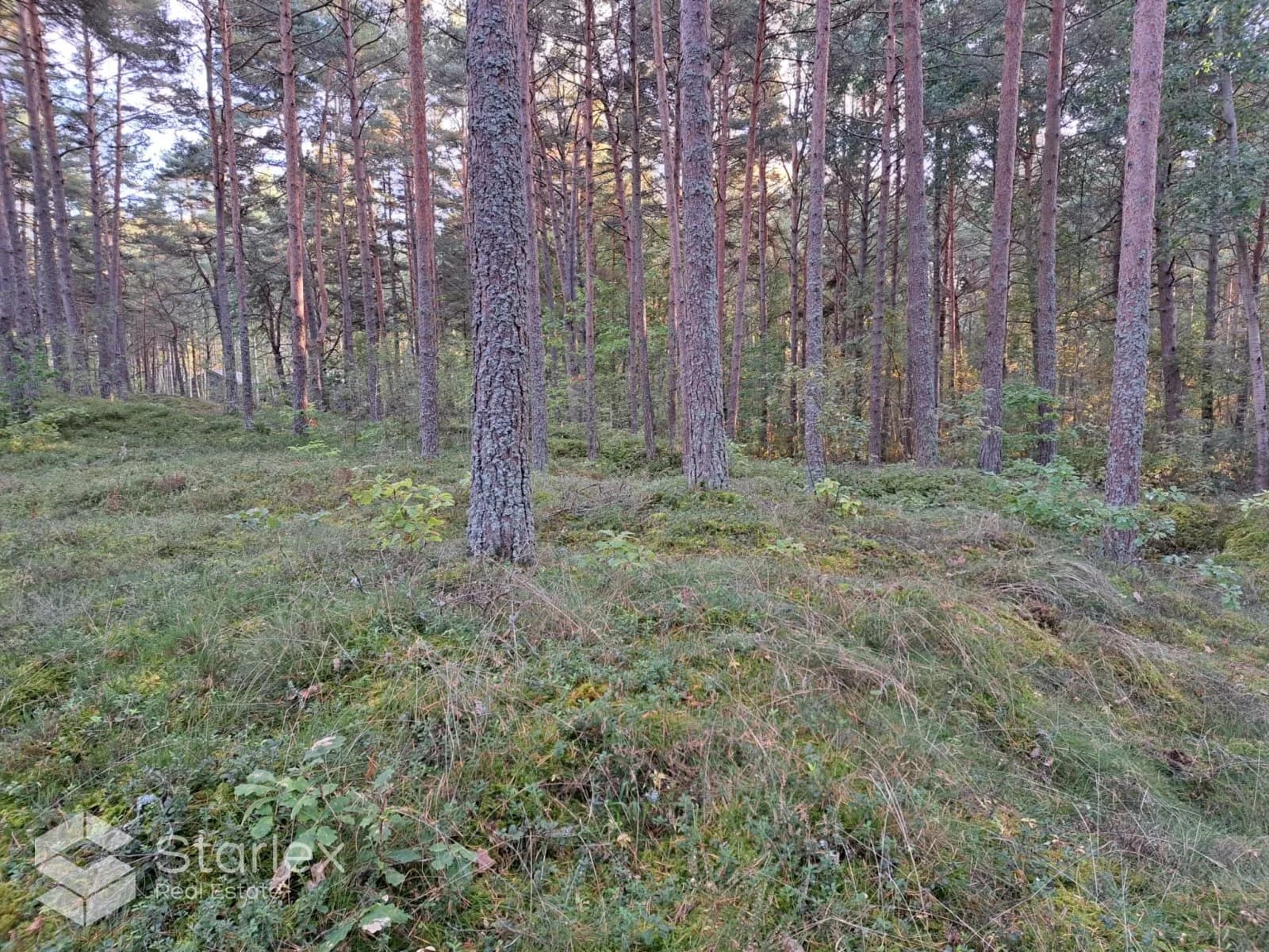 Niedru iela 9A, Tukuma novads